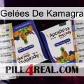 Gelées De Kamagra 12